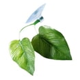thumbnail image 3 of Paquete de 4 almohadillas de hojas de pez Betta que mejoran la salud de Betta simulando el hábitat natural: área de descanso natural, orgánica y cómoda, 3 of 5
