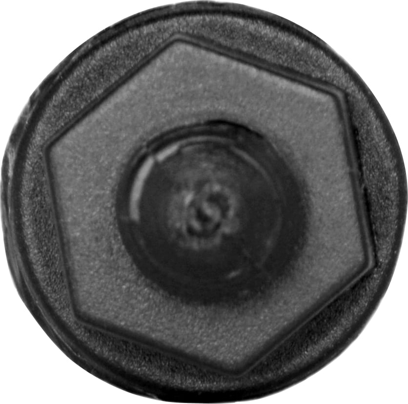 AutoDrive License Plate Fasteners with caps, Silver, 8PC, 1pk, 22-1-63538-W