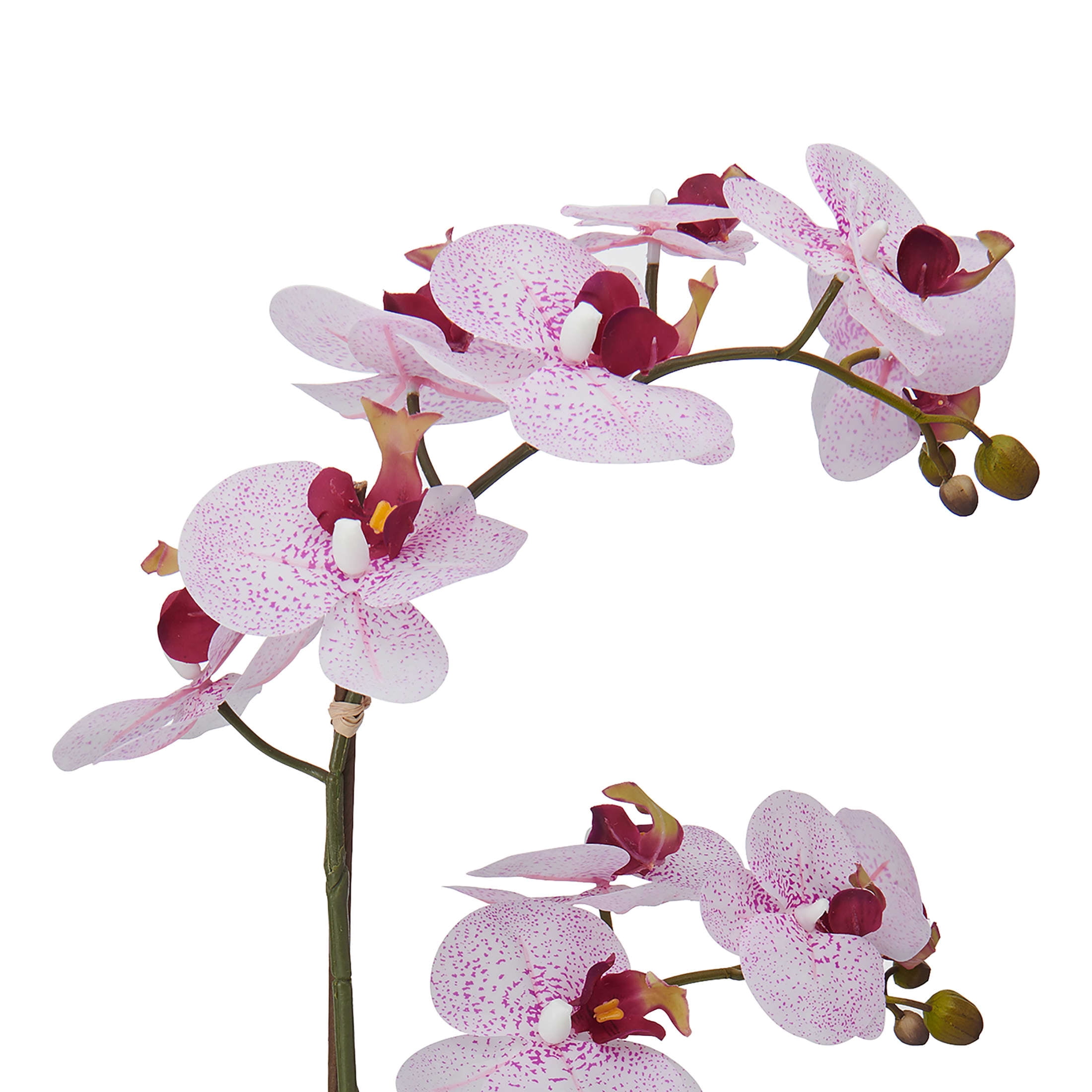 Home Accents 22-inch Artificial Real Touch Phalaenopsis Orchid in Cement Pot, Pink