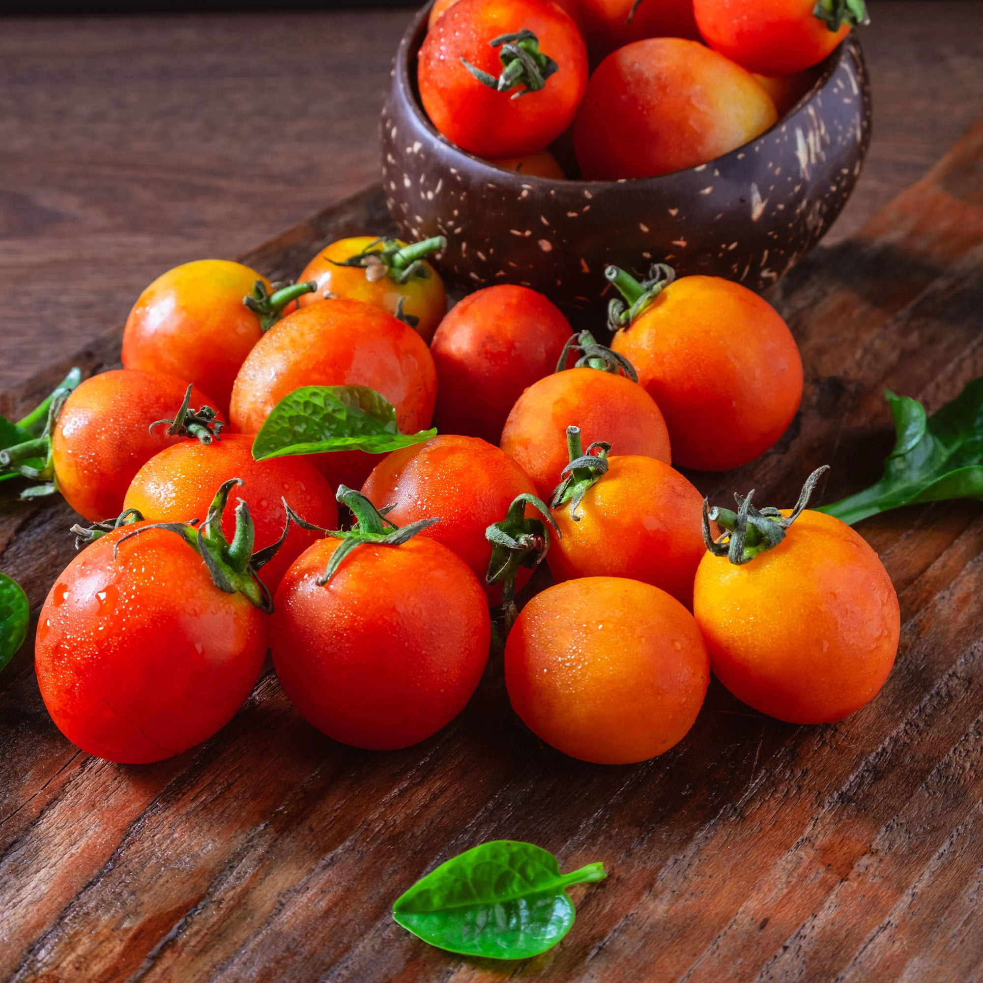 Tomato Seeds - Cherry Bi Color - 1 Oz ~10,000 Seeds - Solanum lycopersicum - Farm & Garden Vegetable Seeds - Non-GMO, Heirloom, Open Pollinated, Annual