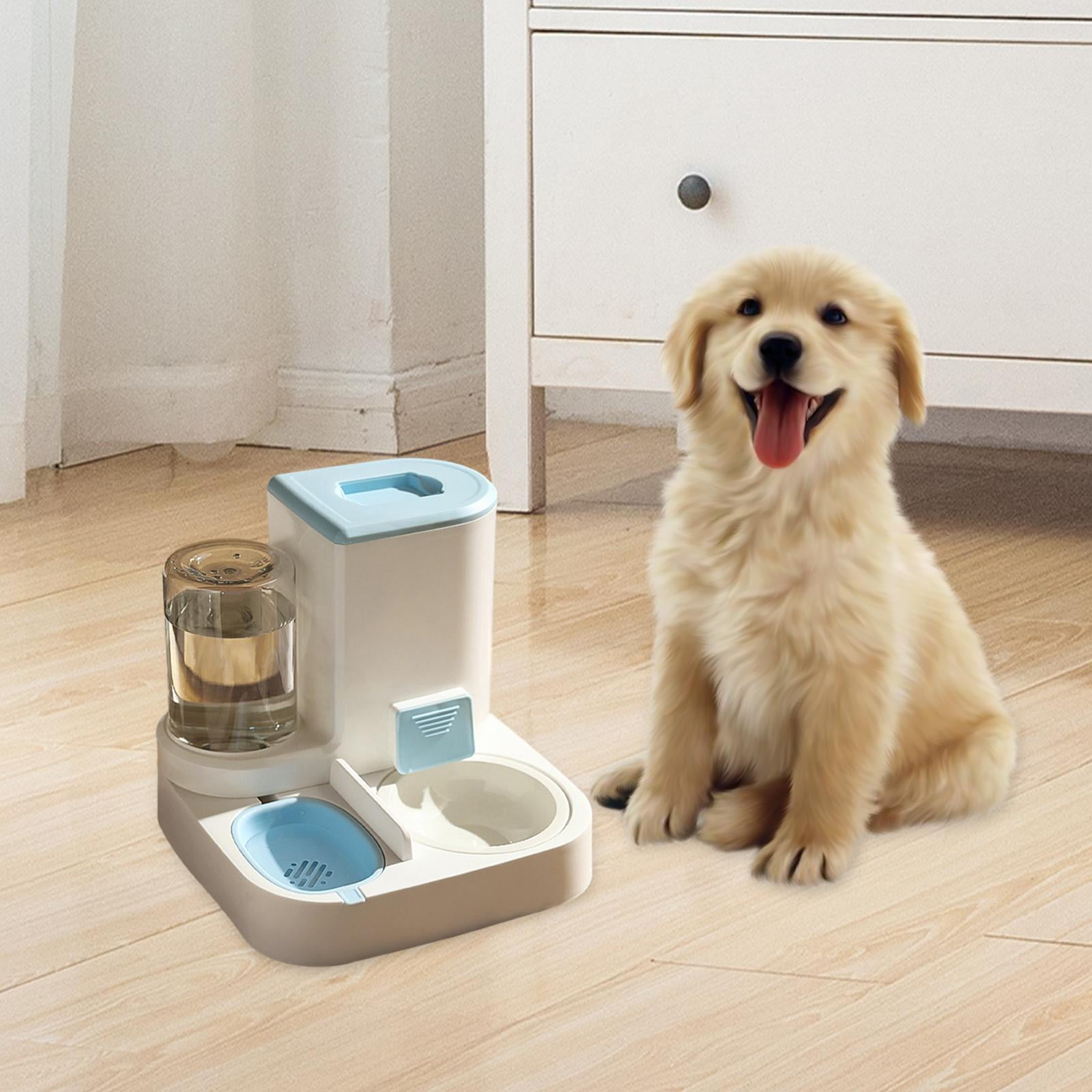 Automatic Cat Feeder Feeder and Waterer Set 2 in 1 Design Feeding Station Gravity Refill Kitten Container Drinker Feeder Detachable Bowl Blue