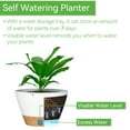thumbnail image 6 of FIASON 2 Pack 8 Inch White Self-Watering Hanging Planters, Plastic Baskets with Visual Reservoir, Drainage Holes & Plant Hanger for Indoor Outdoor Garden Plants, 6 of 11