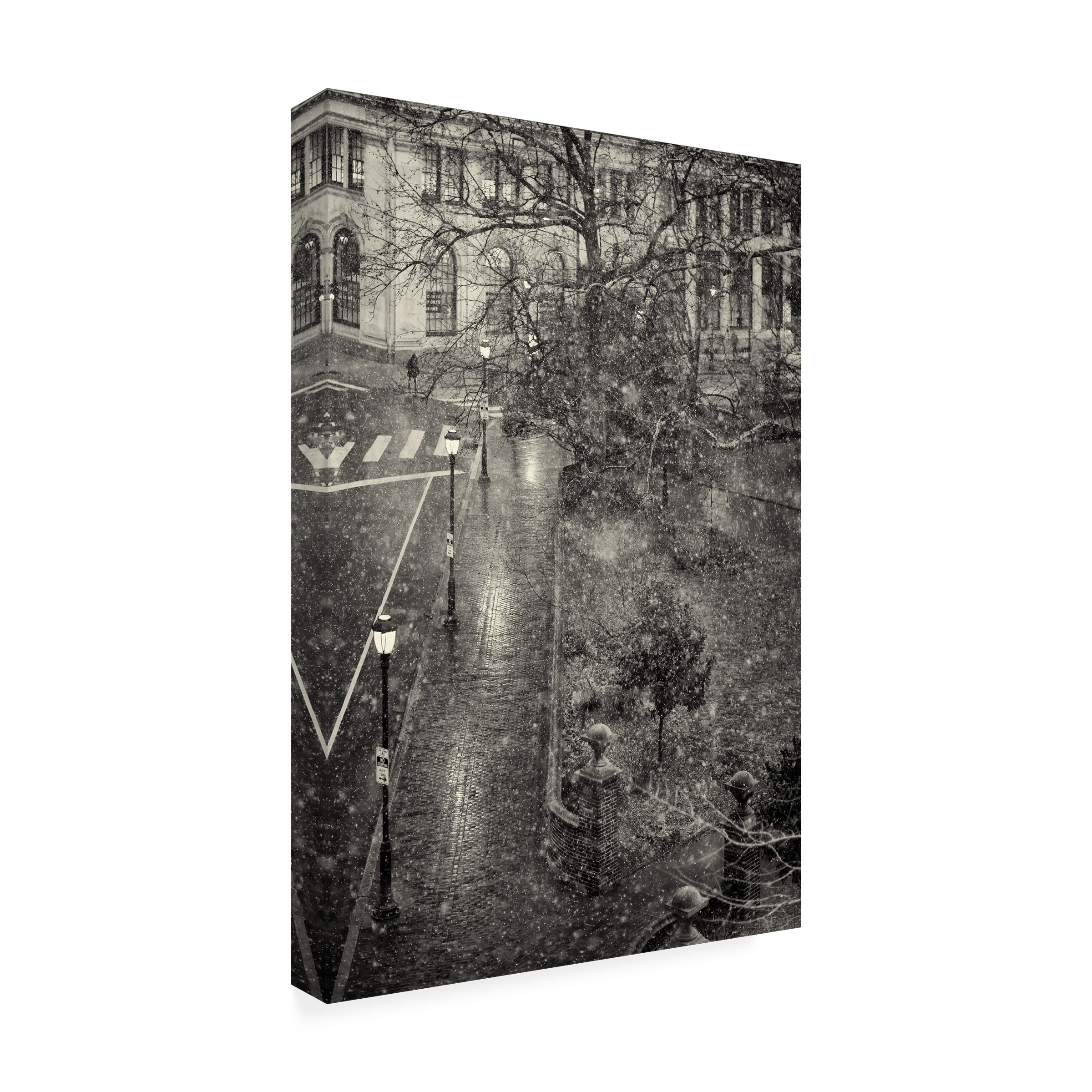 Trademark Fine Art 'Trompe L'Oeil' Canvas Art by Geoffrey Ansel Agrons