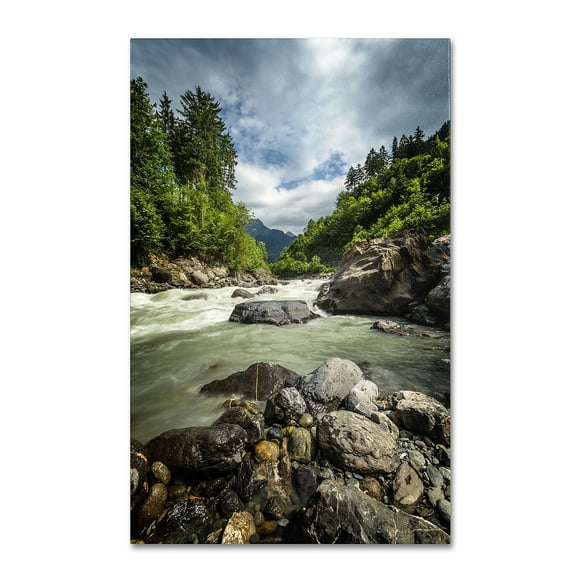 Trademark Fine Art "Waterland" Canvas Art by Philippe Sainte-Laudy