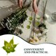 thumbnail image 4 of 60 piezas Diy ramo de flores cálices falsos sépalos de rosas Base para ramo cálices de rosas artificiales sépalos de flores de plástico cálices de rosas hechos a mano, 4 of 5