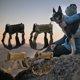 thumbnail image 5 of Arnés para perros Hebillas de tela impermeable Cinta de sujeción rápida Mango Sistema MOLLE Entrenam Abanopi Chaleco para perros, 5 of 7