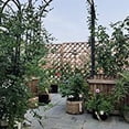 thumbnail image 3 of Plant Bag Grow Bag Planting Bag Non-Woven Beauty Planting Bag Tree Planting Bag, 3 of 8