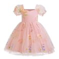thumbnail image 1 of Yanlir Robe Princesse en Dentelle d'Été pour Filles Robe Sans Manches à Volants Broderie en Maille Robe de Fête Col Rond, Tenue Imprimée Mode Printemps Été pour Enfants (Rose, 2 Ans), 1 of 9