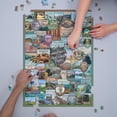 thumbnail image 3 of Protect our National Parks Collection, Collage (1000 Piece Puzzle, Size 19x27, Challenging Jigsaw Puzzle for Adults and Family, Made in USA), 3 of 4