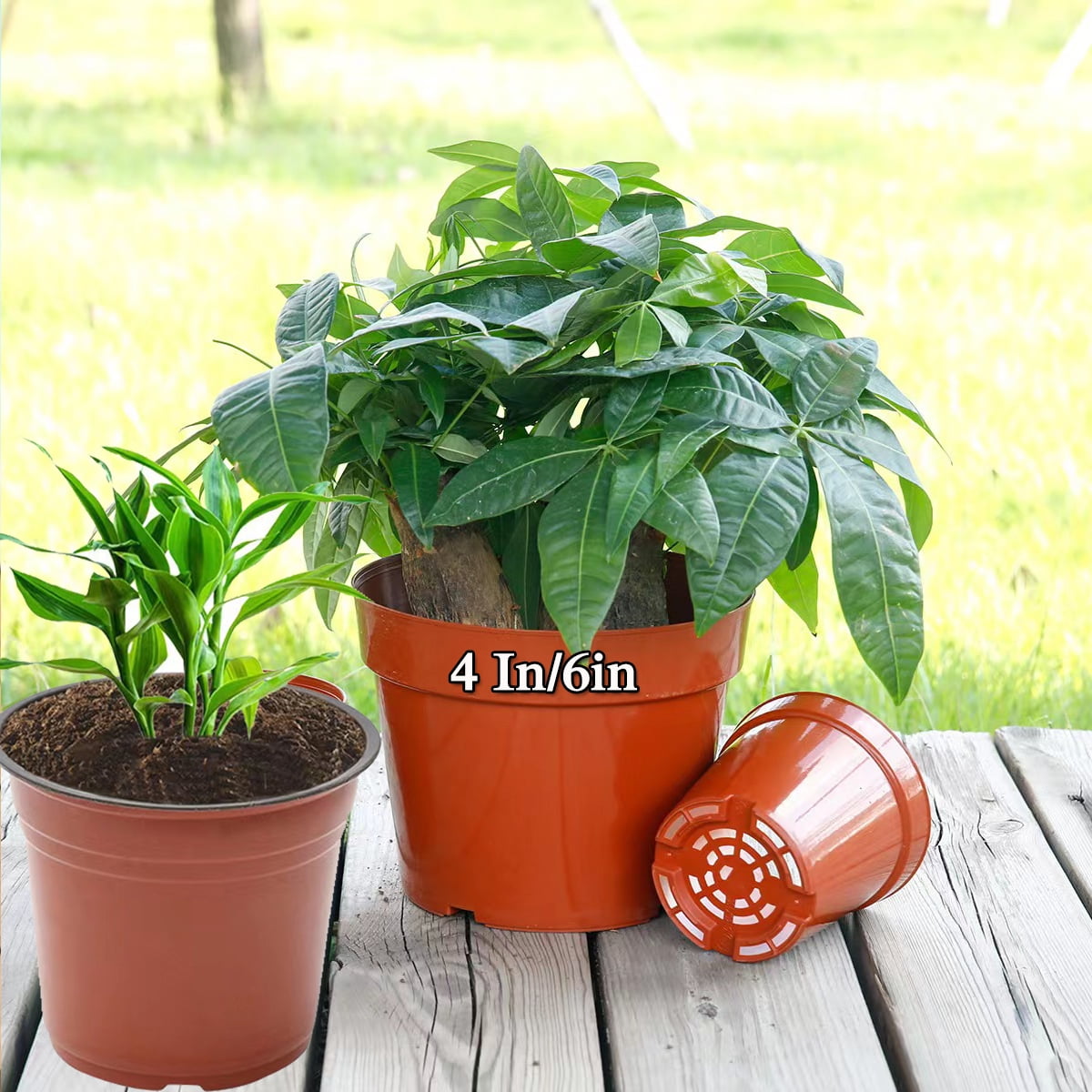 Childcare Flowerpots 4inch /6 Inch Plastic Flowerpots, Kindergarten