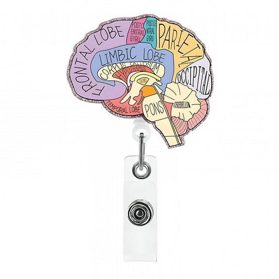 VANIDO Brain Lungs Cardiac Badge Holder Heart Retractable Reel Id Card Clip Anatomy Nurse Name Tag Holder Pediatrics Nursing Badge Alligator Clips for Doctor Student Teacher Medical Assistant