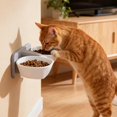 thumbnail image 4 of Goowood Elevated Dog Bowls Wall Mounted Raised Cat Bowls Double Detachable Anti Vomiting Pet Bowl Set for Indoor Cats and Dogs Comfortable Feeding, 4 of 8