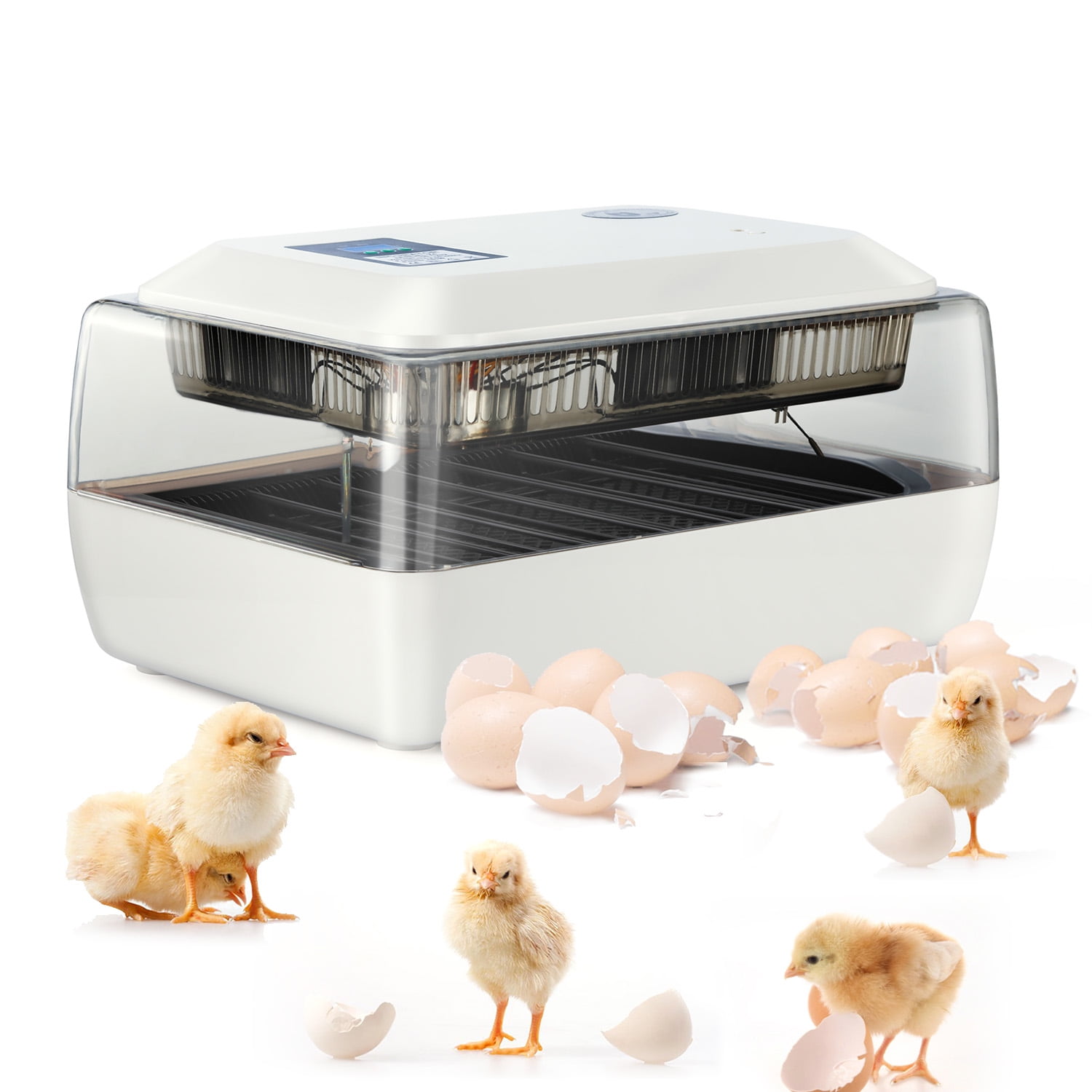 chicken incubator temperature
