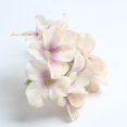 thumbnail image 3 of 10 piezas de cabezas de flores de hortensia artificiales de seda de 10 cm para Crema, 3 of 9