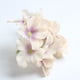 thumbnail image 3 of 10 plantas artificiales, flores artificiales, seda artificial Crema, 3 of 9