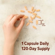 ORZAX Vitamin B Complex, Vegan, B Vitamins with Choline & Inositol - 120 Vegetable Capsules