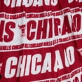 thumbnail image 3 of Men's Mitchell & Ness  Red Chicago Bulls 1996/97 Hardwood Classics Teamwrap Swingman Shorts, 3 of 3