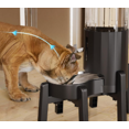 thumbnail image 2 of Dog Water Dispenser Holder, Width Adjustable Elevated Stand for Pet Feeders, Suitable for Medium Pets, 2 of 11