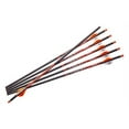 thumbnail image 2 of Ravin Crossbows Ravin Bolts 400Gr. 6 Pk .003, 2 of 5