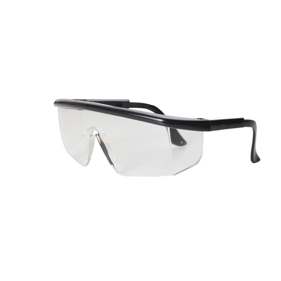 STEELMAN 96710 Safety Glasses