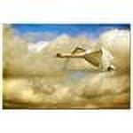 Trademark Fine Art "Swan Song" Canvas Art by Lois Bryan
