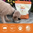 thumbnail image 3 of Alimento crudo liofilizado para mascotas Steve's Real Food Pork Nuggets 560 ml, 3 of 9