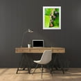 thumbnail image 3 of Wild, Jamie and Judy 25x32 White Modern Wood Framed Museum Art Print Titled - Salal berries, 3 of 4