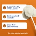 thumbnail image 4 of Vital Proteins Collagen Peptides, Salted Caramel Flavor Powder, 10.5 oz, 4 of 8