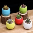 thumbnail image 3 of 6Pcs Mini Succulent Pot, 3 Inch Plastic Seed Starter Pots Small Cute Succulent Planter with Drainage for Indoor & Outdoor Plants, Home Decor, 3 of 6