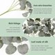 thumbnail image 2 of 3pcs Artificial Hanging Plants 76cm Wall Hanging Eucalyptus Rattan With Built-in Iron Wire Simulation Faux Plants Vines Green Leaves Art Decoration Fo, 2 of 5