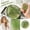 Green, variant on Clear Jelly Pearl Bead Ball Squishy Squeeze Toy,Slow Rebound Soft TPR Gel Sensory Stress Relief Fidget,Cute Novelty Creative Package For Festive Home Room Desk Decor Gift Present