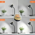 thumbnail image 5 of NATYSWAN Desk Lamp for College Dorm Room,Small Touch Dimmable Reading Lights,Adjustable Flexible Gooseneck Table Lamp for Bedside Bedroom Nightstand, Black, 5 of 8