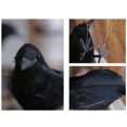 thumbnail image 3 of Decoraciones Aves Decoración de terror Animal Pájaro Plástico y plumas Halloween para el hogar Fiesta de Halloween, 3 of 8