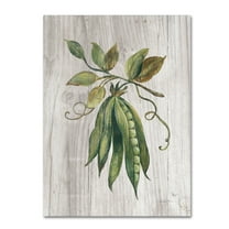 Trademark Fine Art 'Market Vegetables II' Canvas Art by Silvia Vassileva