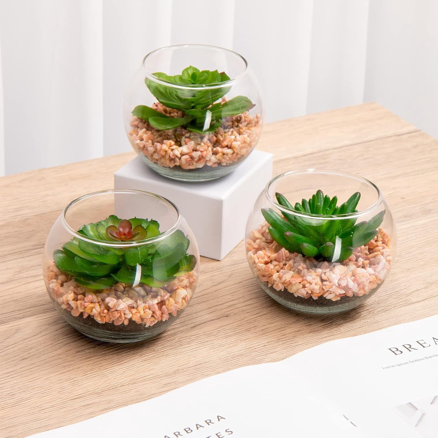 Mini Fake Plants 3 Packs Artificial Succulents Plants in Round Glass Vase Cute Faux Succulents for Bathroom Kitchens Shelf Table Decor