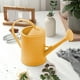 thumbnail image 3 of Hervidor de agua para suculentas de 2 l, con boquilla desmontable y pico largo para un riego preciso y suave, ideal para plantas de interior en maceta, flores y jardines de hierbas. Aestivo, 3 of 8