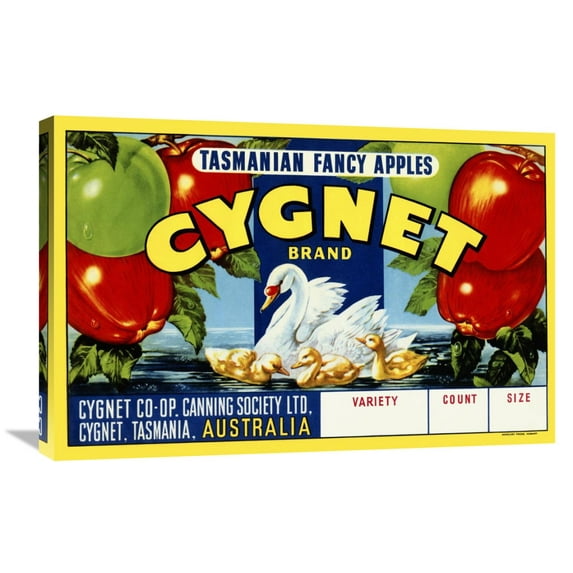 Global Gallery's 'Cygnet Tasmanian Fancy Apples' By Retrolabel Stretched Canvas Wall Art