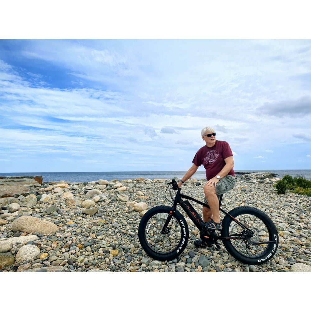 Rogue Wave Mountain Ebike 750W Electric Bike 4 Inch Fat Tire 20MPH 48V 14.5Ah Aluminum Frame Electric Mountain Bike for All Terrain Black
