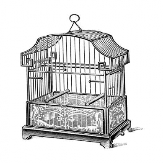 Etchings Birdcage -