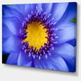thumbnail image 2 of Blue Lotus Close up Watercolor - Flowers Canvas Wall Artwork, 2 of 4
