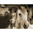thumbnail image 2 of Lewis, Sheldon 32x25 Black Ornate Wood Framed with Double Matting Museum Art Print Titled - Cowboys Treasure, 2 of 4