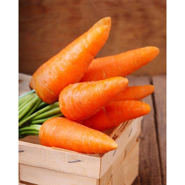 GSDWIUEW Sweet Carrot Carotel Red Heirloom Vegetable for Planting