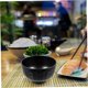 thumbnail image 5 of WEUVEB Japonés Pequeño Negro Plástico Para Uso Doméstico Práctico, 5 of 8