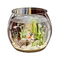 thumbnail image 5 of LShunze Plastic Fish Bowls, Round Fish Bowl Plastic Fish Tank Aquarium Hydroponic Planter Floral Container for Table Centerpiece Home Decor, 5 of 8