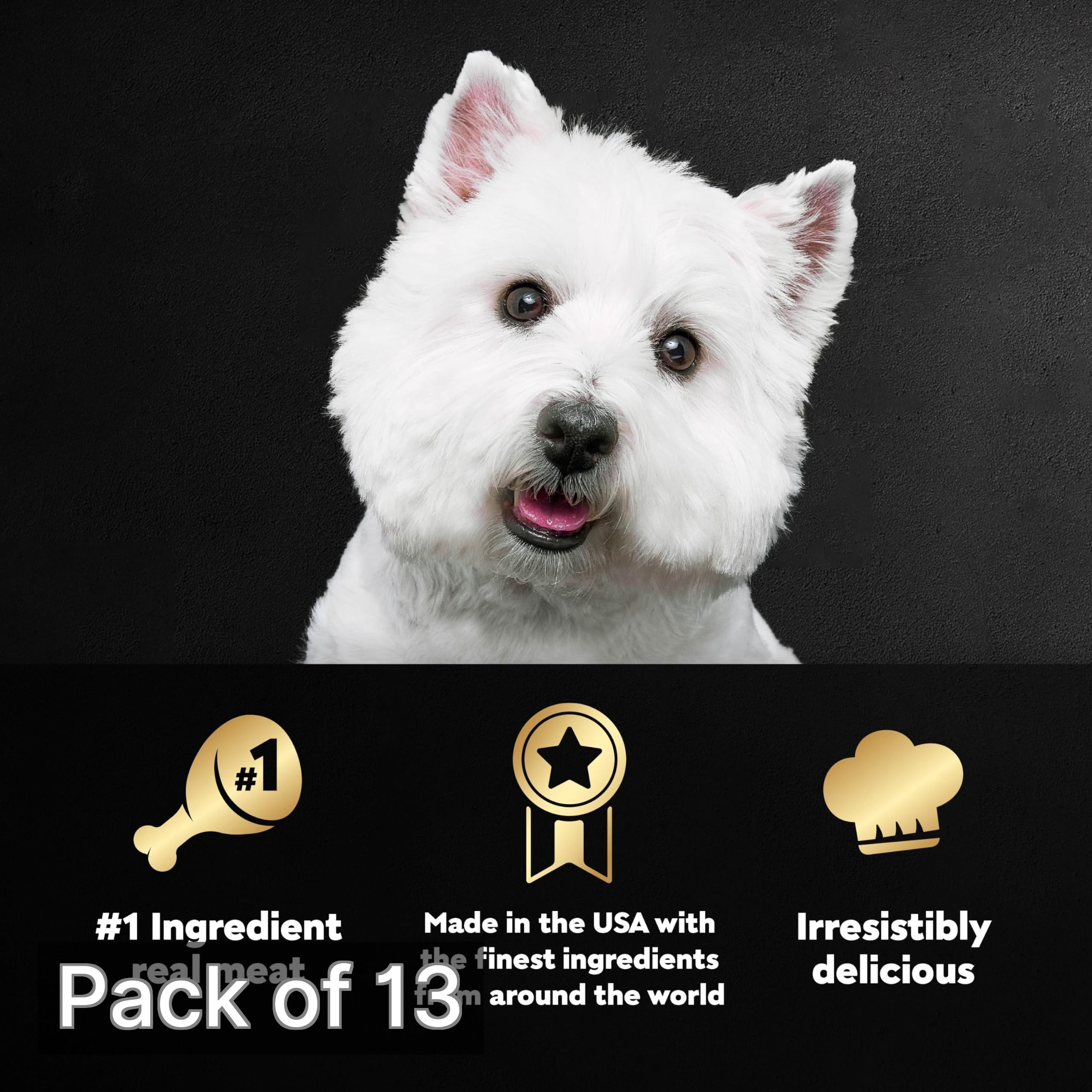 Cesar Classic Loaf in Sauce Adult Wet Dog Food, Beef Recipe 3.5 oz (Pack of 13)