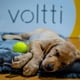 thumbnail image 2 of Voltti Cama Para Perros Chica Anti Estrés Con Doble Cara, 2 of 3
