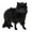 Black, variant on Yinanstore Wildlife Lowrie Simulation Model PVC Action Figure toy children kids Early Teaching Toy - Yellow, as described