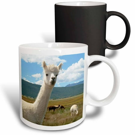 

3dRose Victory Ranch Alpaca farm Mora New Mexico - US32 JMR0359 - Julien McRoberts Magic Transforming Mug 11oz