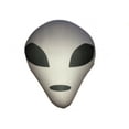 thumbnail image 5 of Grey Alien Character Head Microbead Throw Pillow Combo Pack 2 Pillows [Grey], 5 of 5