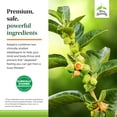thumbnail image 5 of Terry Naturally Adaptra - 60 Capsules (Pack of 2), 5 of 7